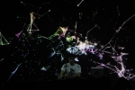 gal/Jon_Hopkins/_thb_IMG_4951.JPG