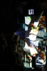 gal/Skinny_Puppy/_thb__MG_0848.JPG